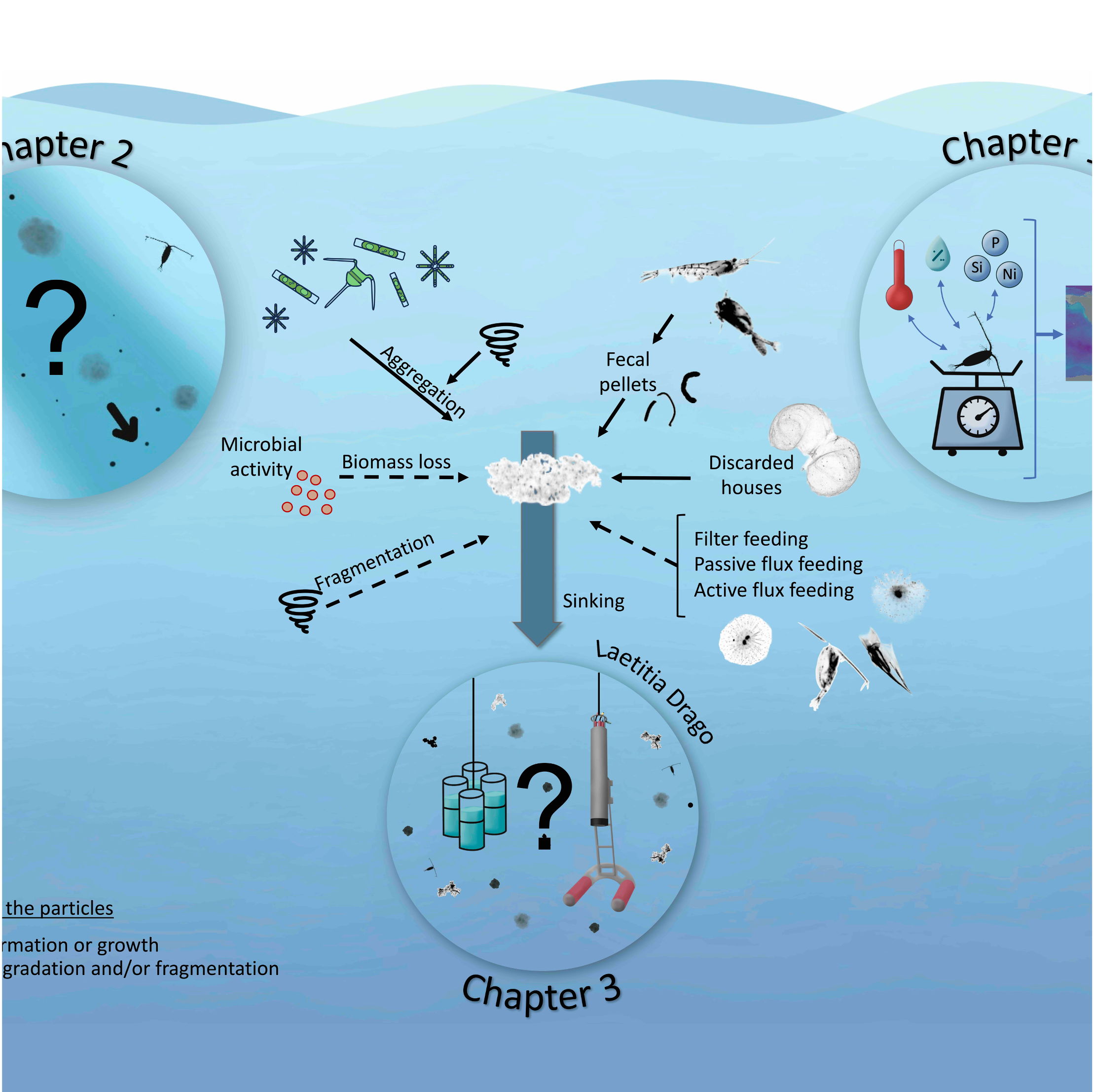 PhD thesis graphical abstract