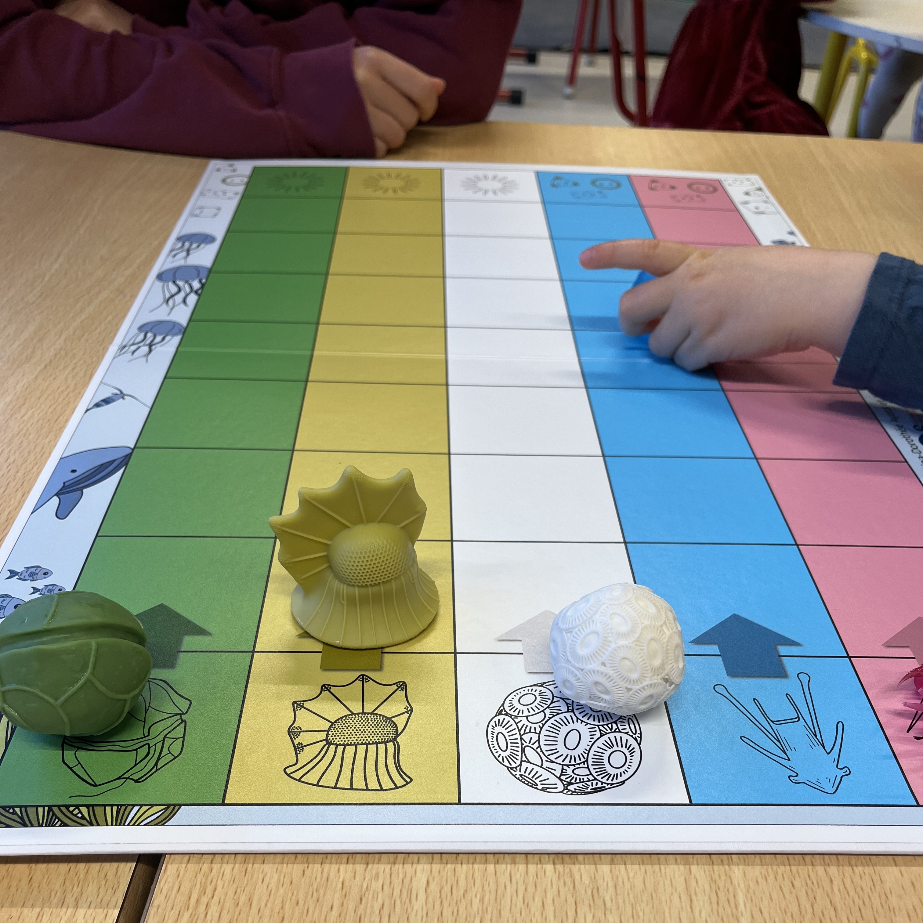 Zooplanktonic organisms